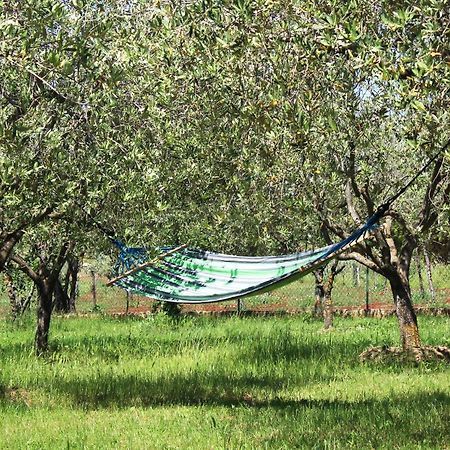 Oliven Garden Βίλα Ρόβινι Εξωτερικό φωτογραφία