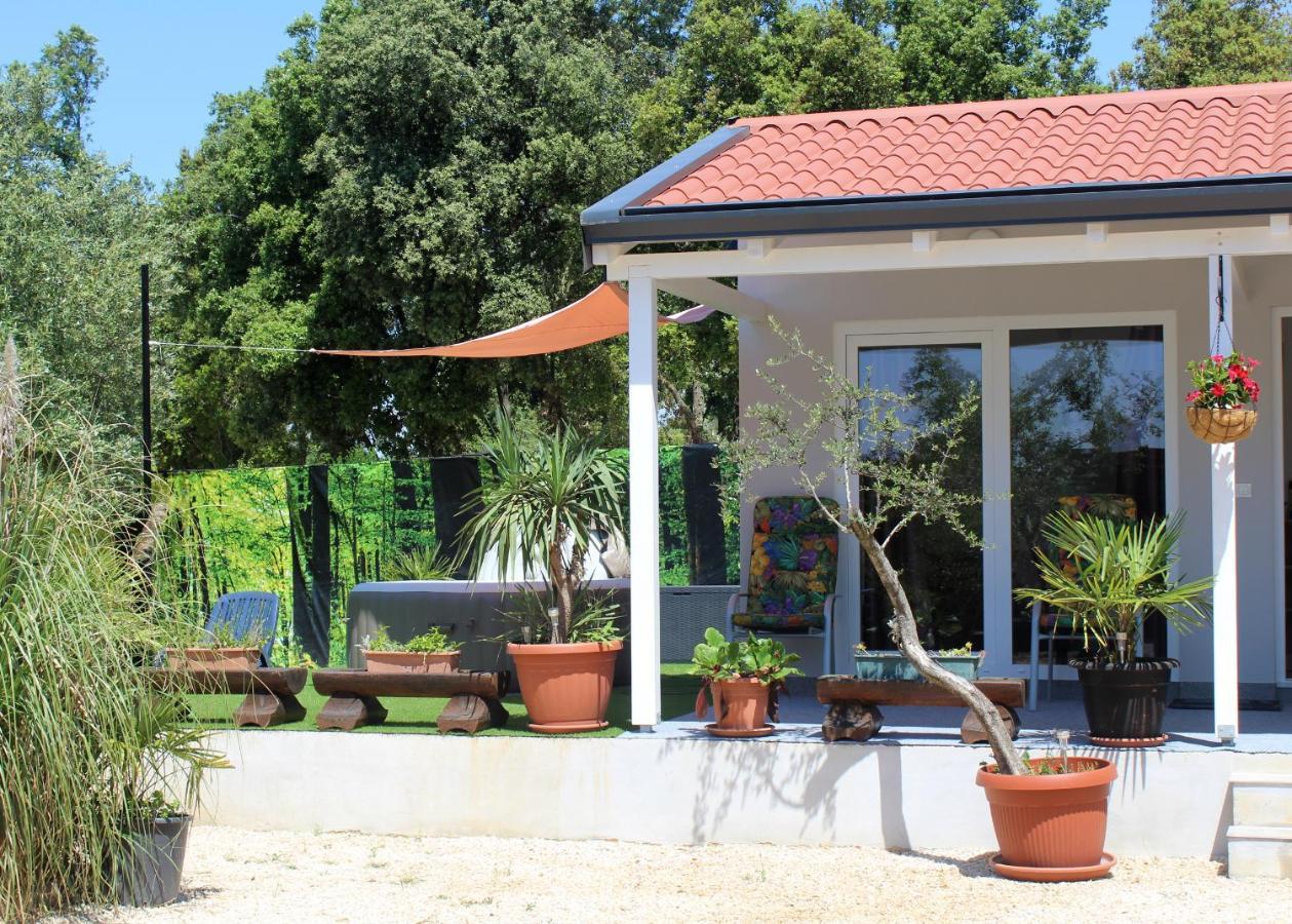 Oliven Garden Βίλα Ρόβινι Εξωτερικό φωτογραφία