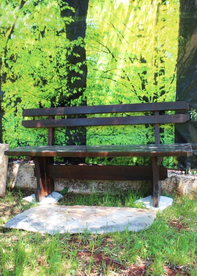 Oliven Garden Βίλα Ρόβινι Εξωτερικό φωτογραφία