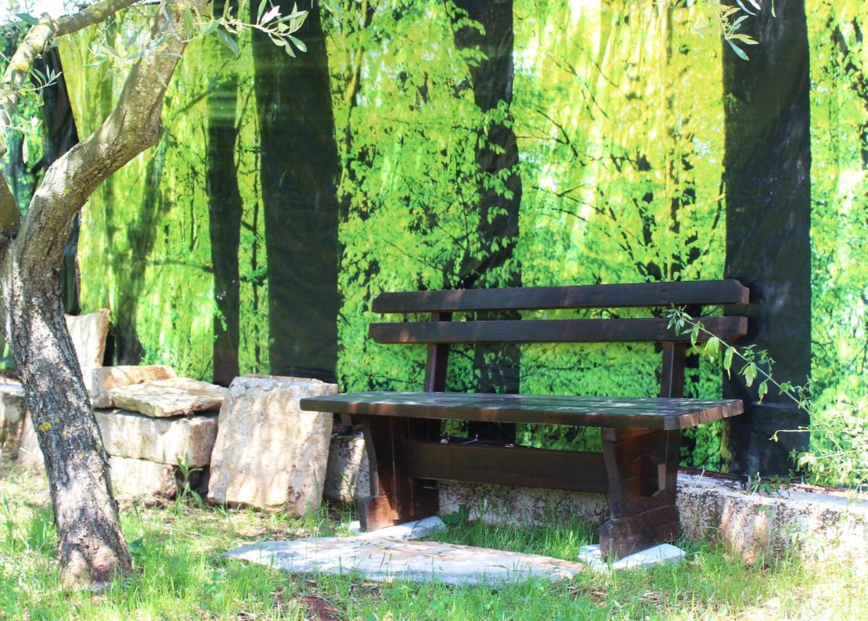 Oliven Garden Βίλα Ρόβινι Εξωτερικό φωτογραφία