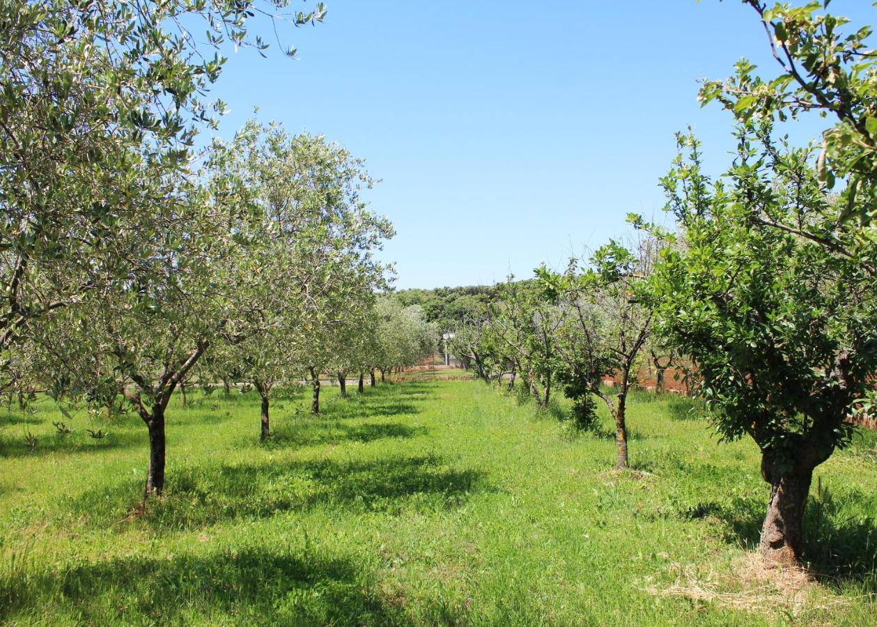 Oliven Garden Βίλα Ρόβινι Εξωτερικό φωτογραφία