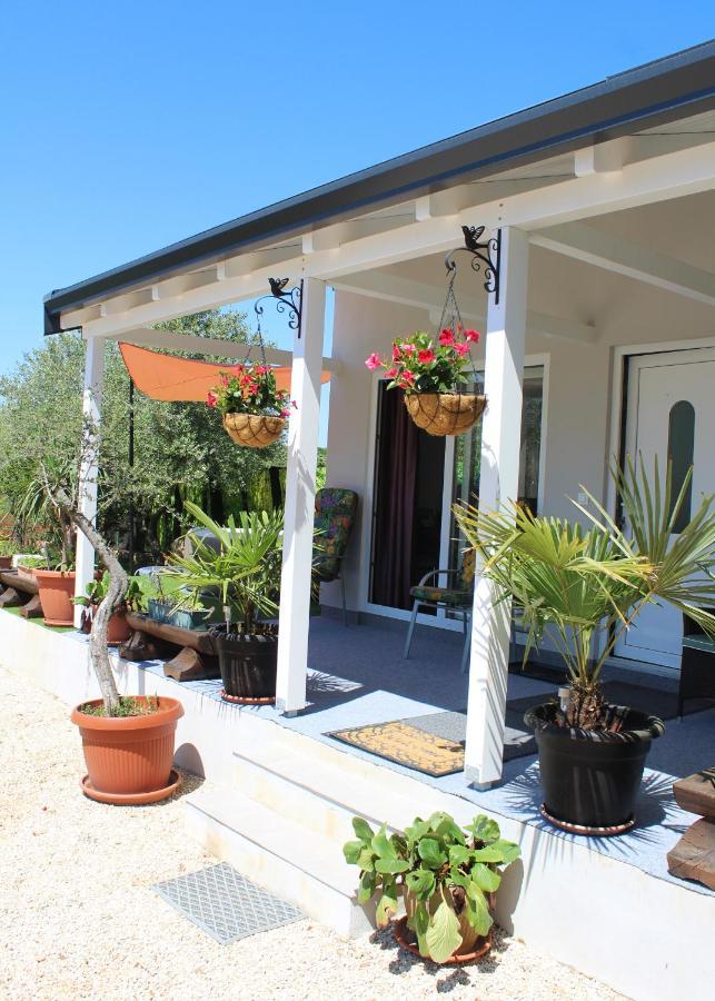 Oliven Garden Βίλα Ρόβινι Εξωτερικό φωτογραφία