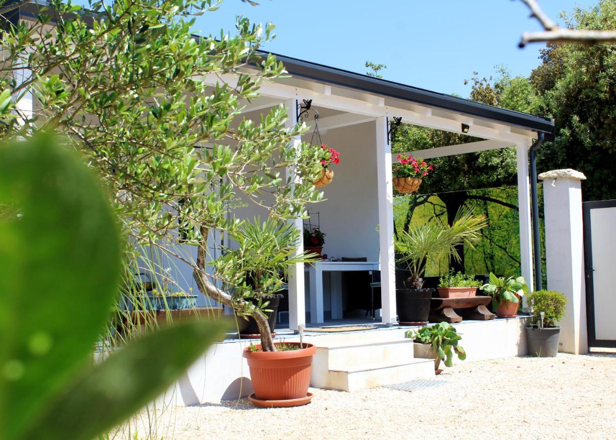 Oliven Garden Βίλα Ρόβινι Εξωτερικό φωτογραφία