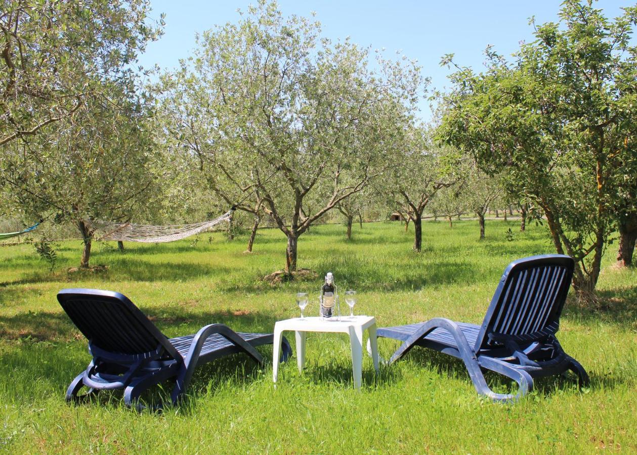 Oliven Garden Βίλα Ρόβινι Εξωτερικό φωτογραφία