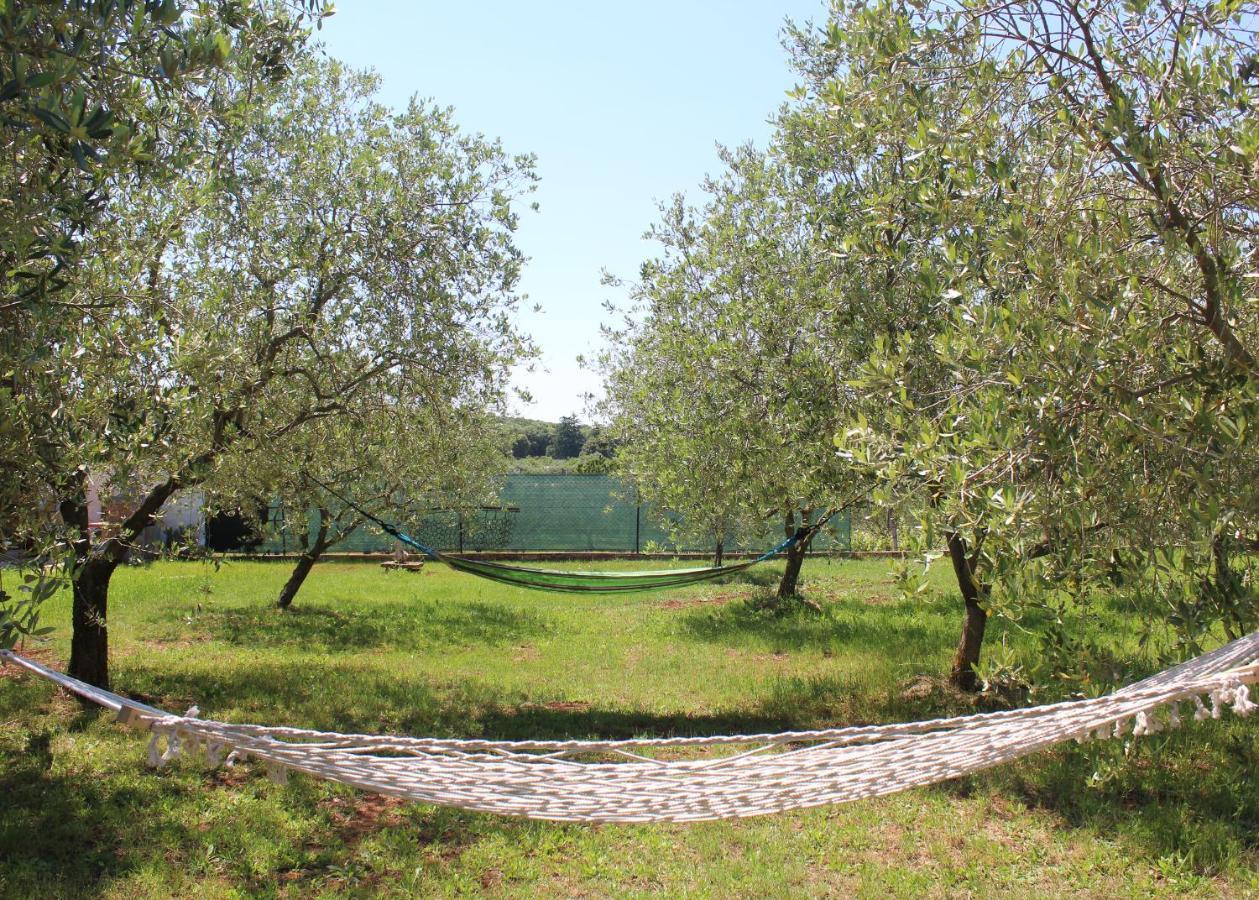 Oliven Garden Βίλα Ρόβινι Εξωτερικό φωτογραφία