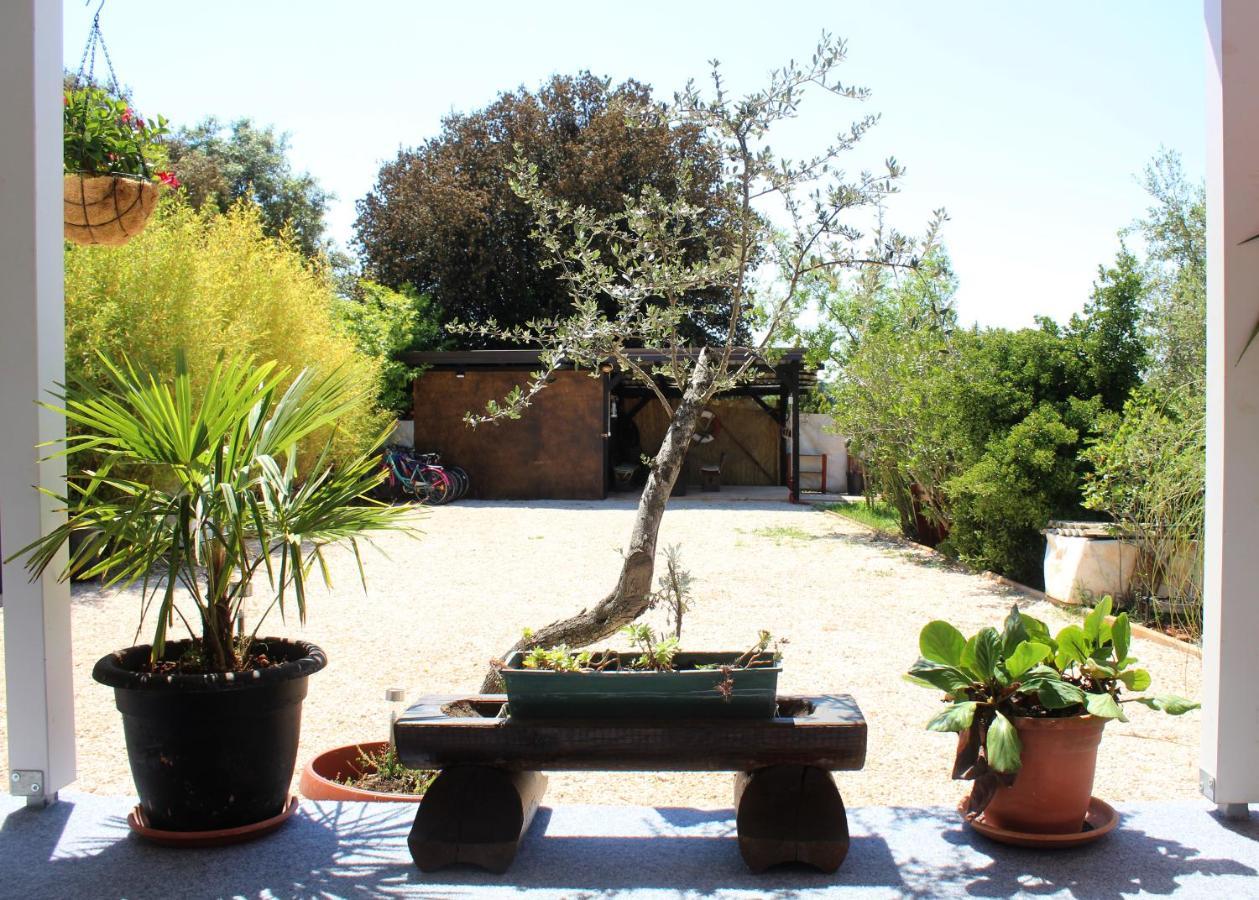 Oliven Garden Βίλα Ρόβινι Εξωτερικό φωτογραφία