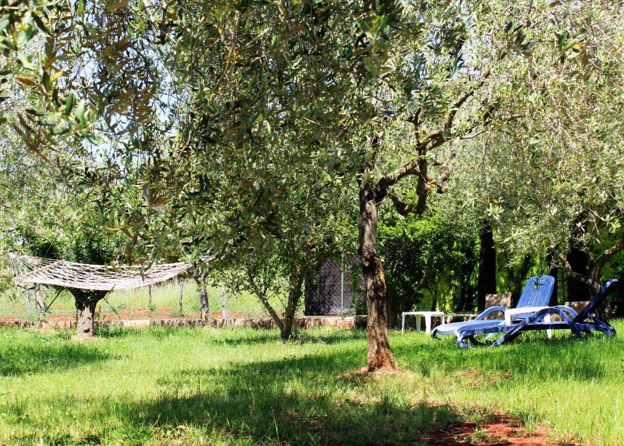 Oliven Garden Βίλα Ρόβινι Εξωτερικό φωτογραφία