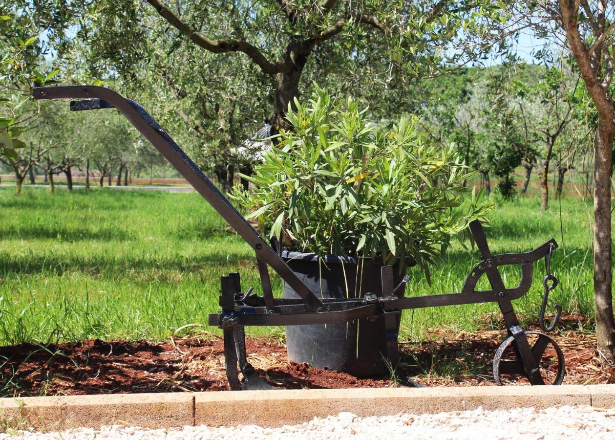 Oliven Garden Βίλα Ρόβινι Εξωτερικό φωτογραφία